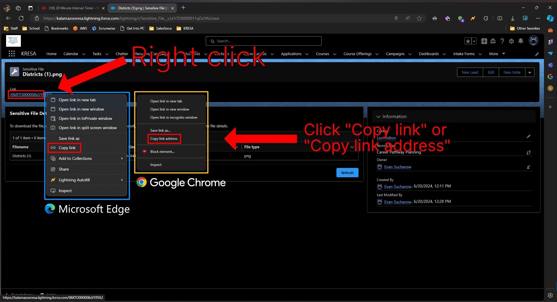 Copy download link
